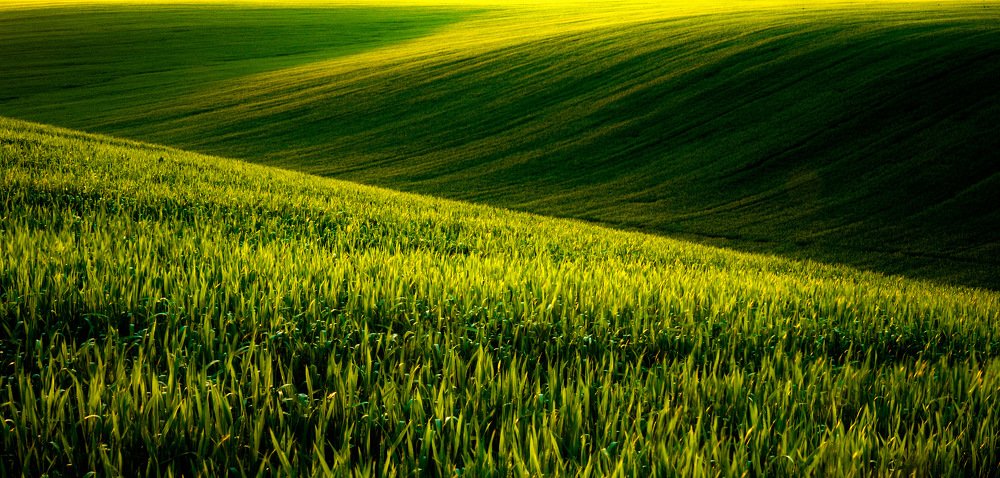 Photograph by Aeromast