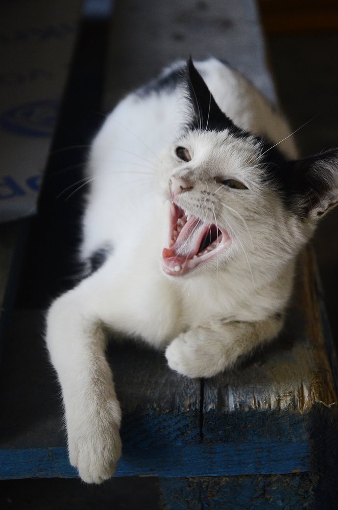 Photograph by Магеррам Меджидов