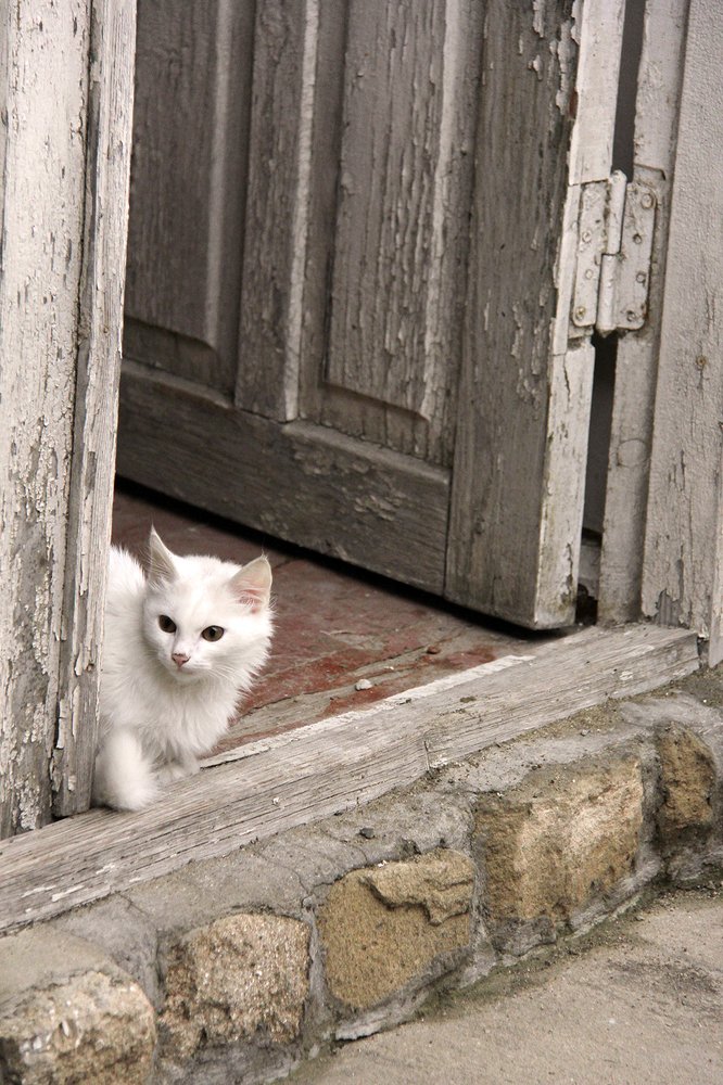 Photograph by Магеррам Меджидов