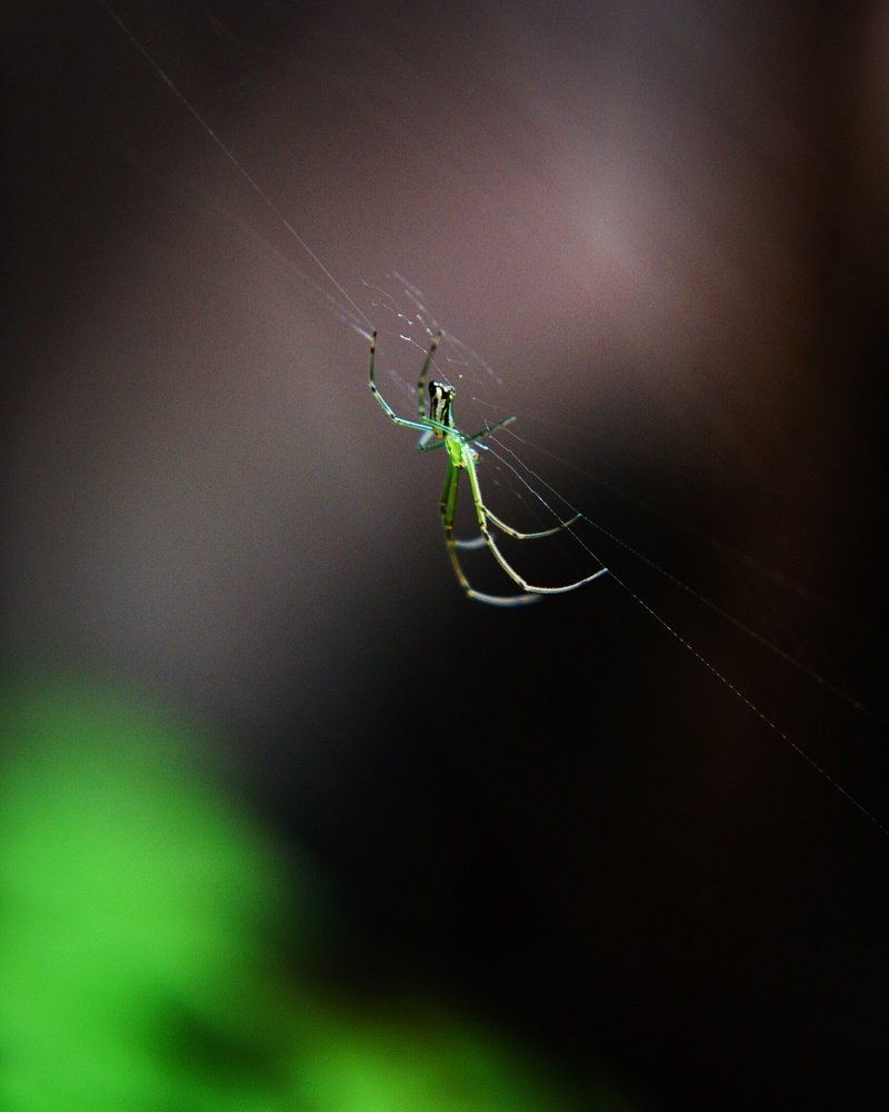 Photograph by Ayush Phillip