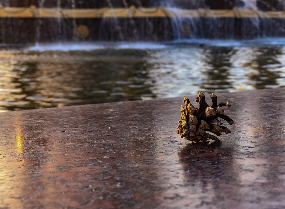 Photograph by MARINA FADEEVA