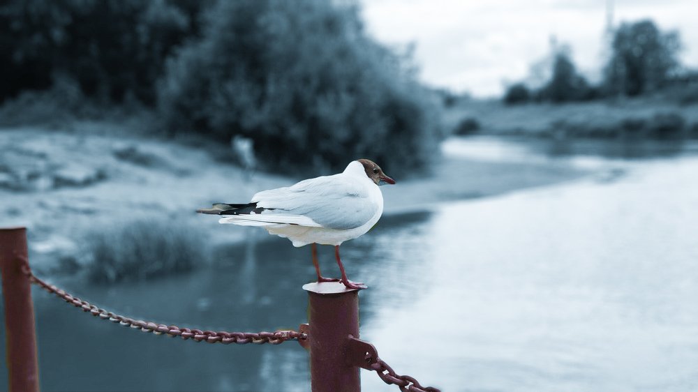 Photograph by Олег Мухачев