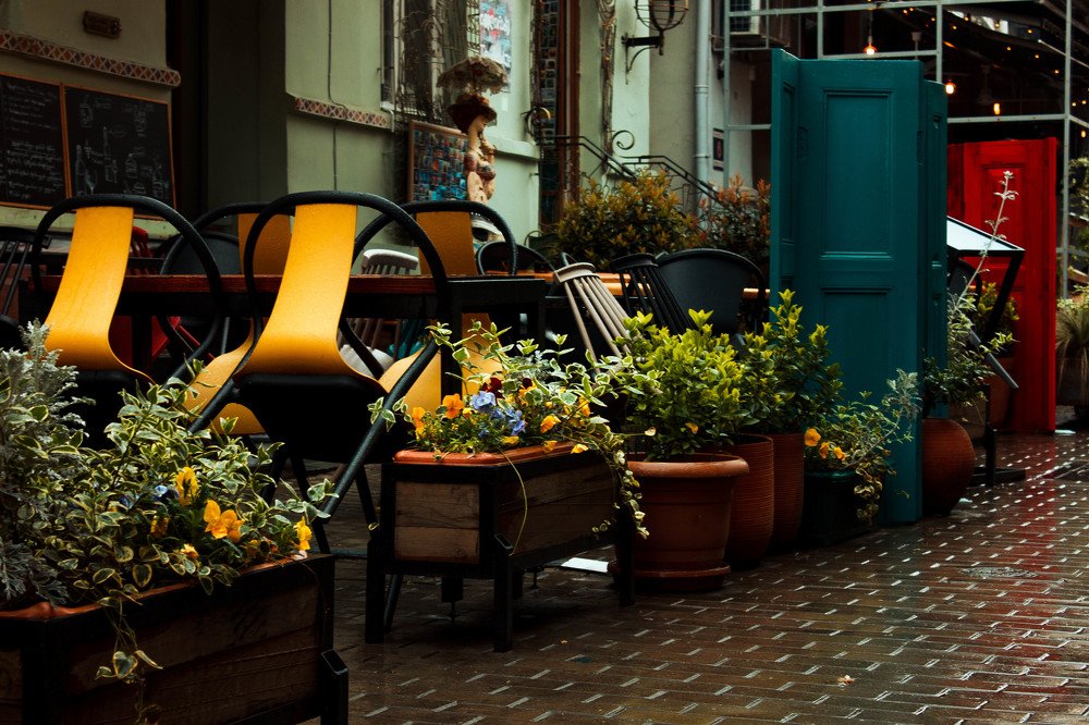 Photograph by Элина Данелия