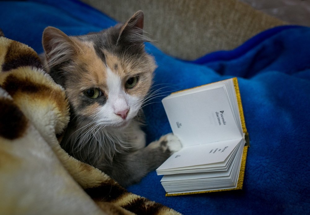 Photograph by Павел Мягких