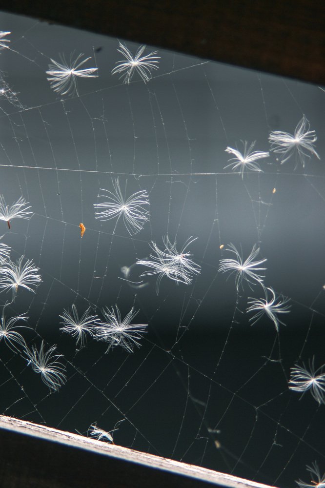 Фотография автора Ivelina Petkova