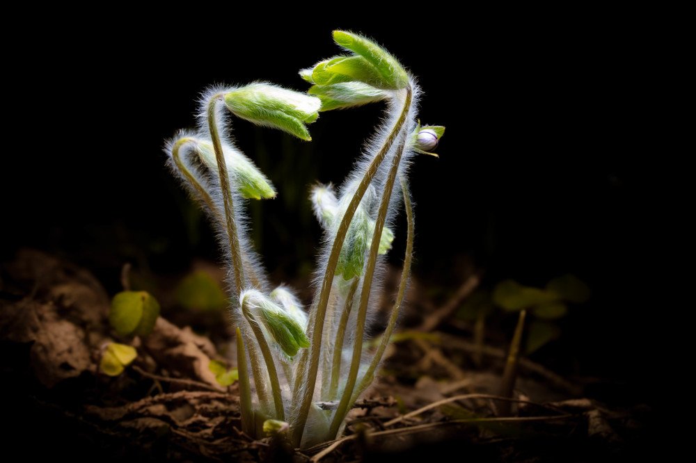 Photograph by Александр Рындин