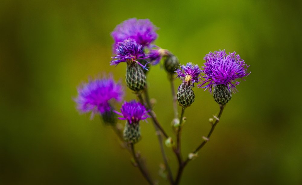 Photograph by петр чиков