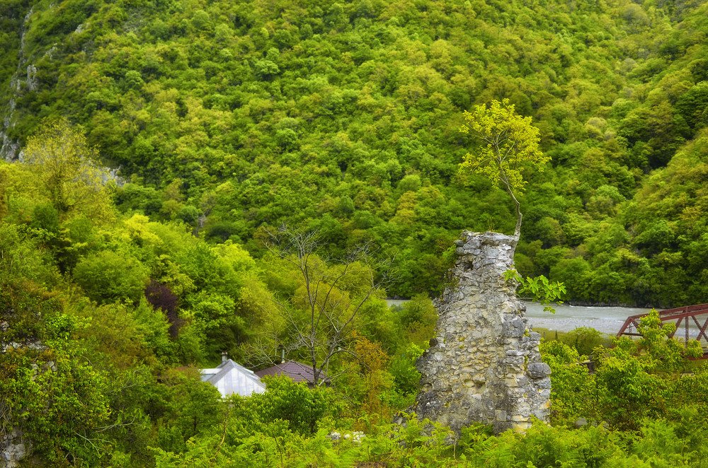 Photograph by Синегубова Ольга