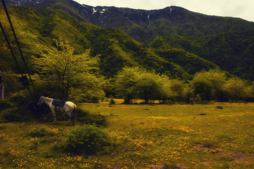 Photograph by Синегубова Ольга