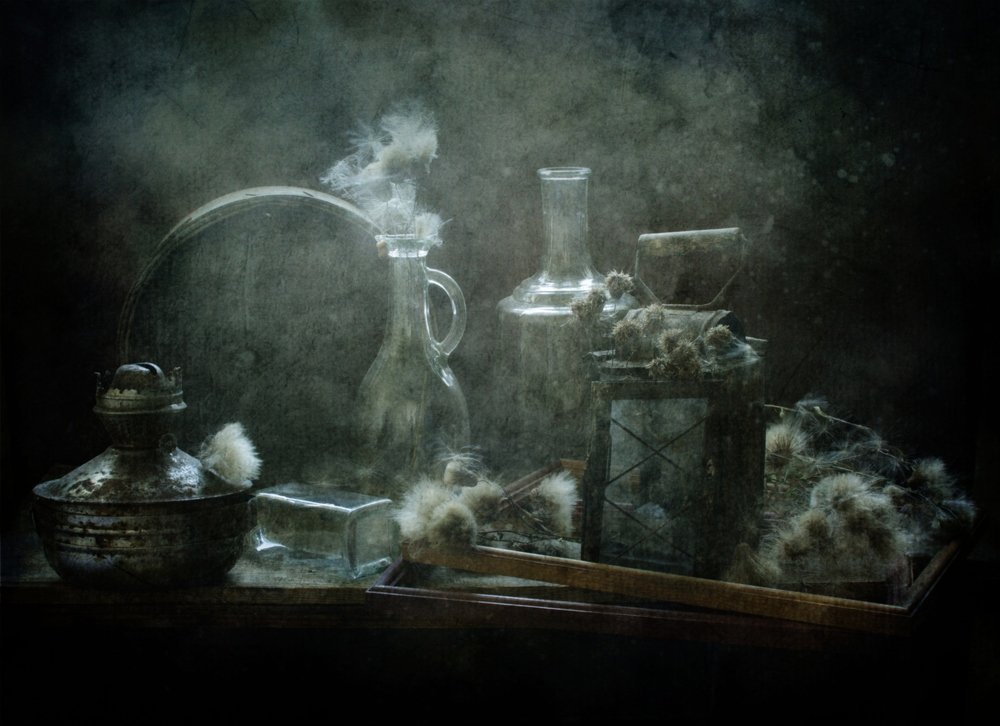 Photograph by Синегубова Ольга