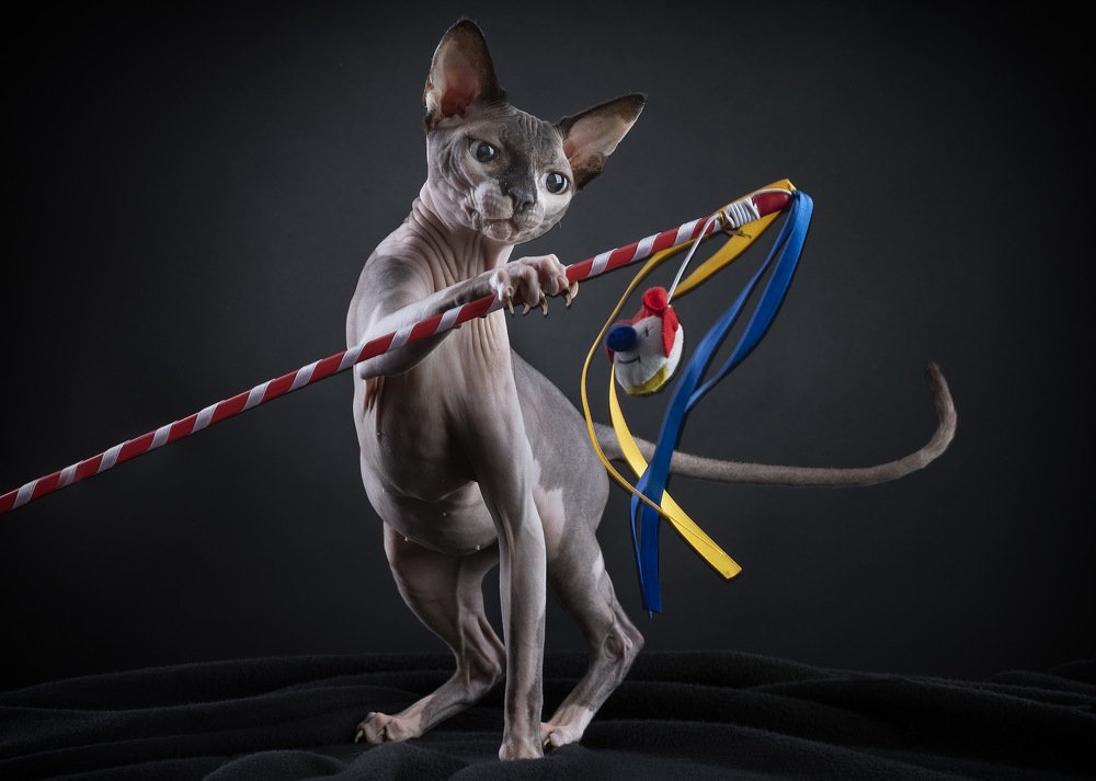 Photograph by Andraz Muljavec