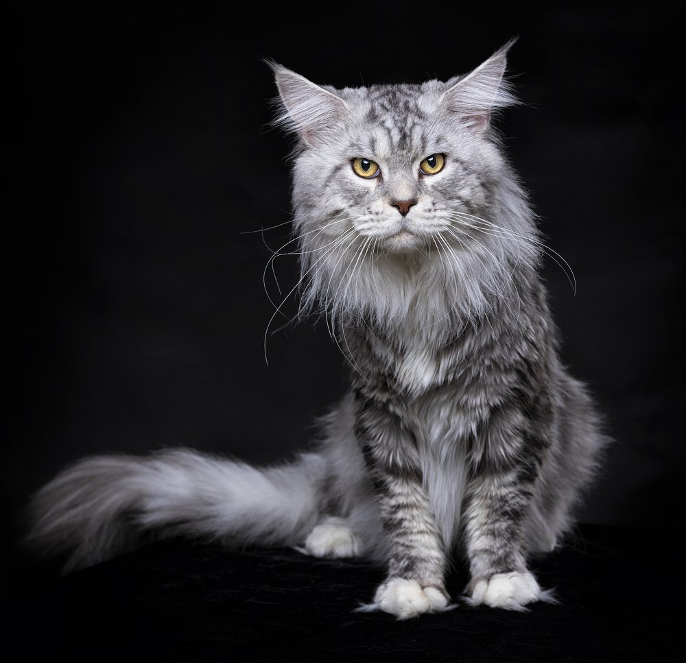 Photograph by Andraz Muljavec