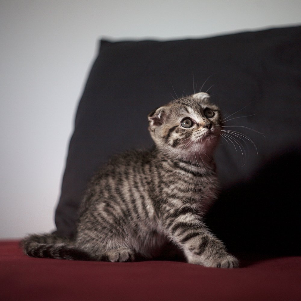 Photograph by Лилия