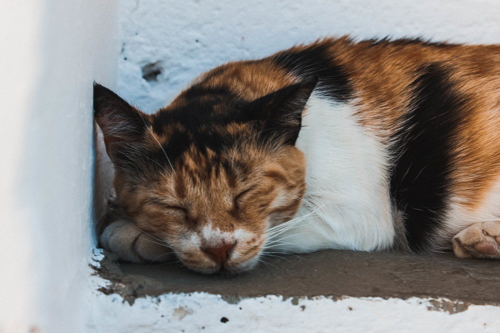 Photograph by Элина Данелия