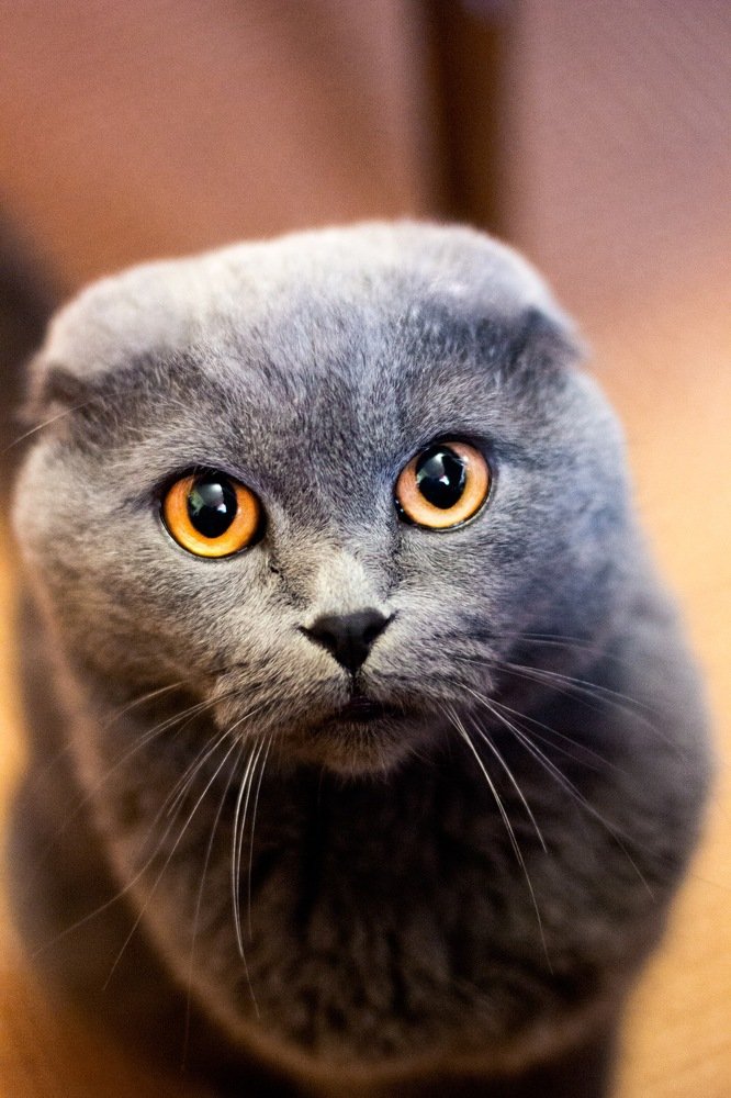 Photograph by Элина Данелия