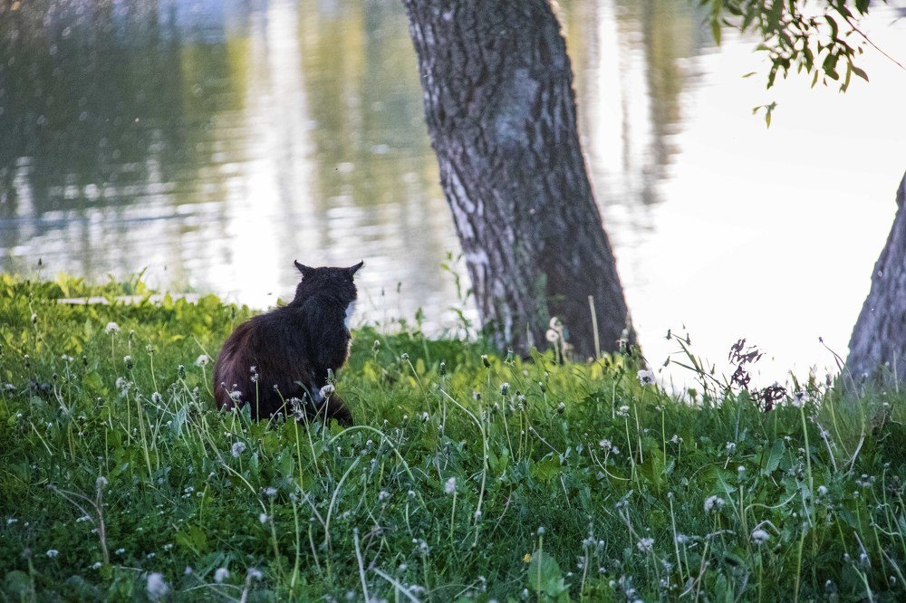 Photograph by миша