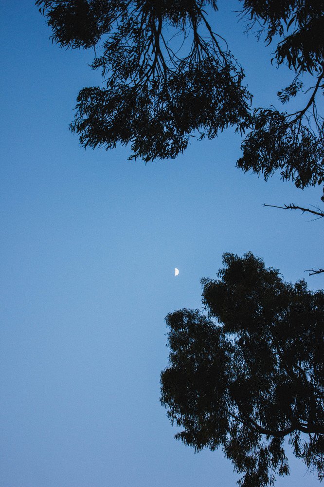 Photograph by Элина Данелия