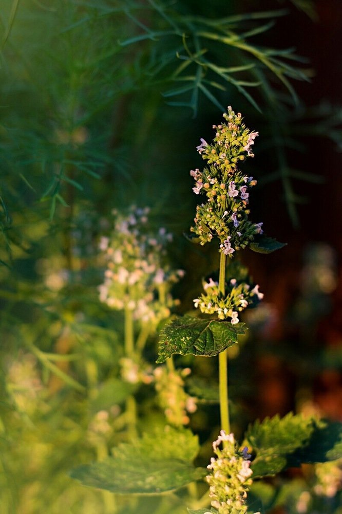 Photograph by Людмила Балакина