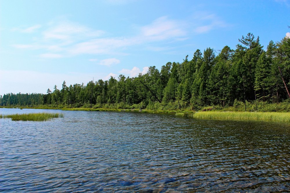 Байкальский сор