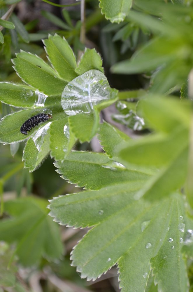 Photograph by Николай Соколовский