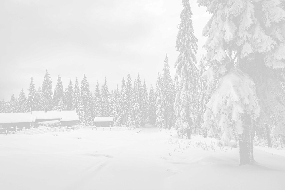 Photograph by Ana Pana