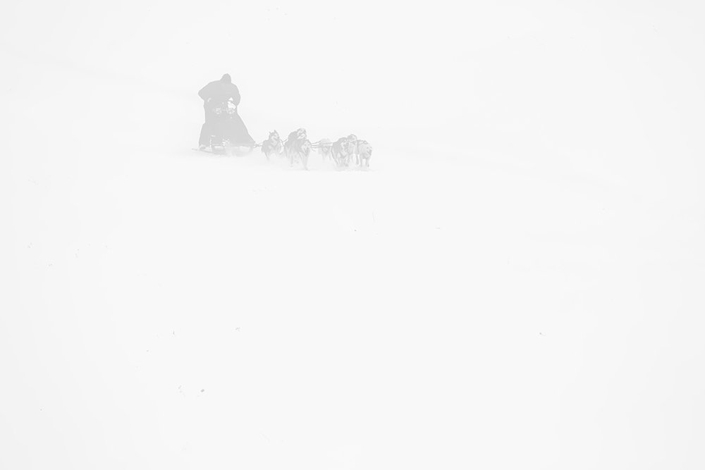 Photograph by Ana Pana