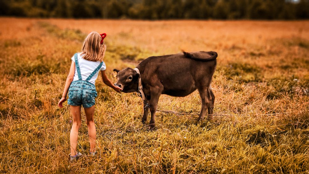 Photograph by Олег Мухачев