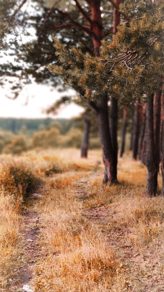 Photograph by Олег Мухачев