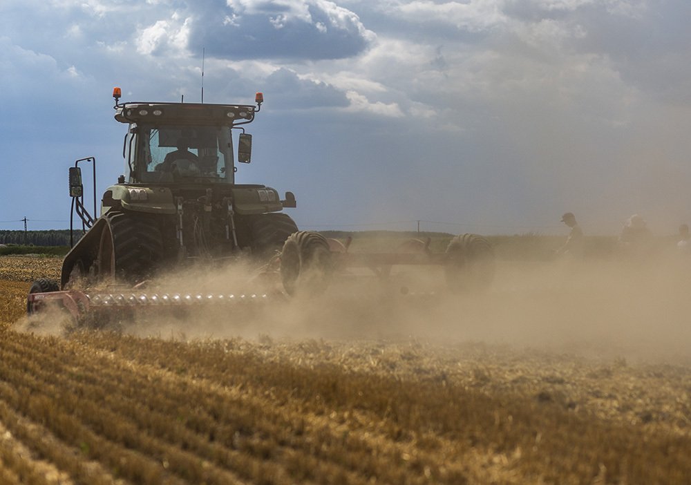 Photograph by Ana Pana