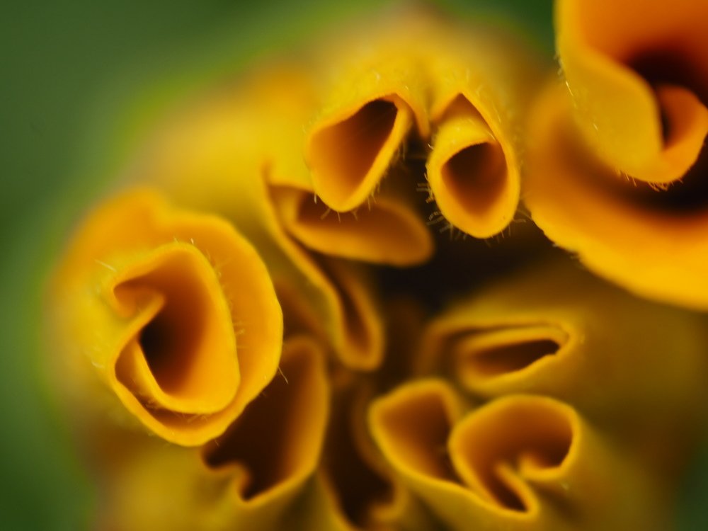 Photograph by Наталья