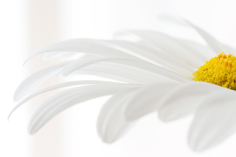 Photograph by Ирина Коденцева