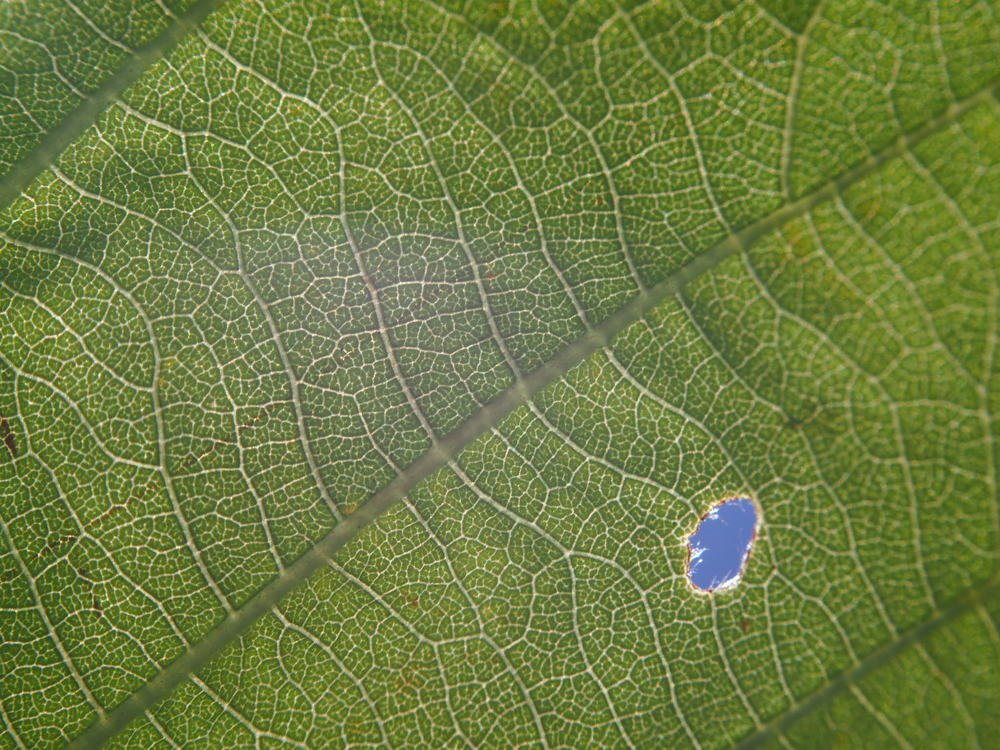 Photograph by Наталья