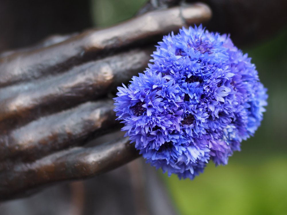 Photograph by Наталья