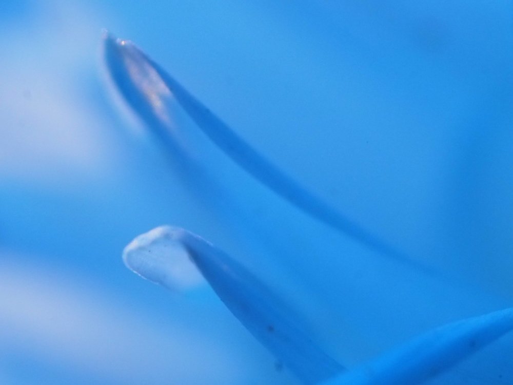 Photograph by Наталья