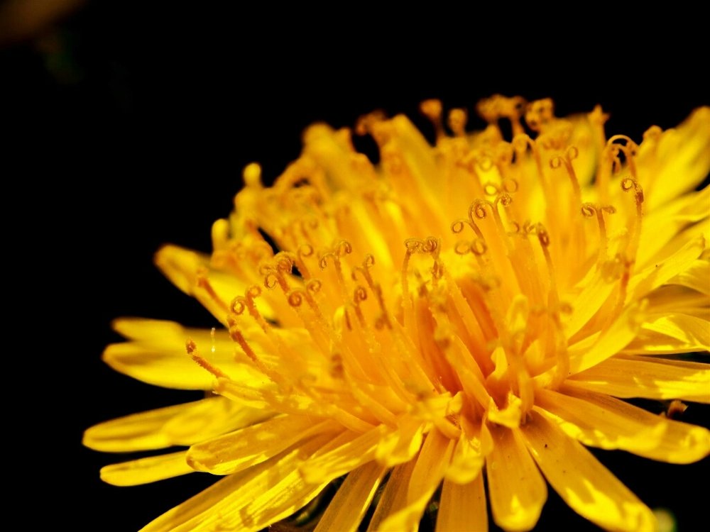 Photograph by Наталья