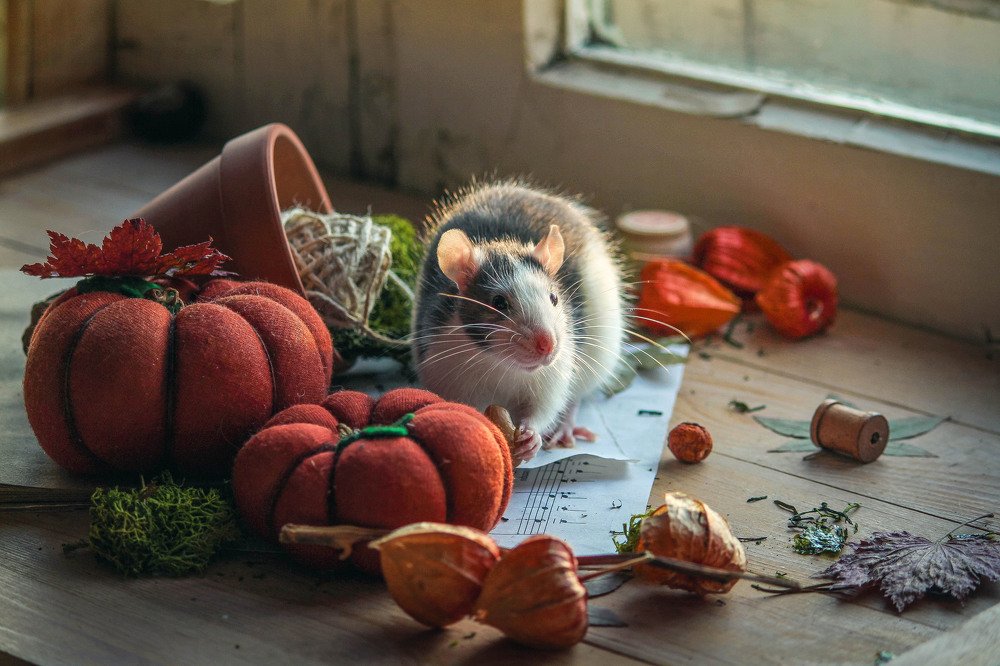 Photograph by Маргарита Федурина