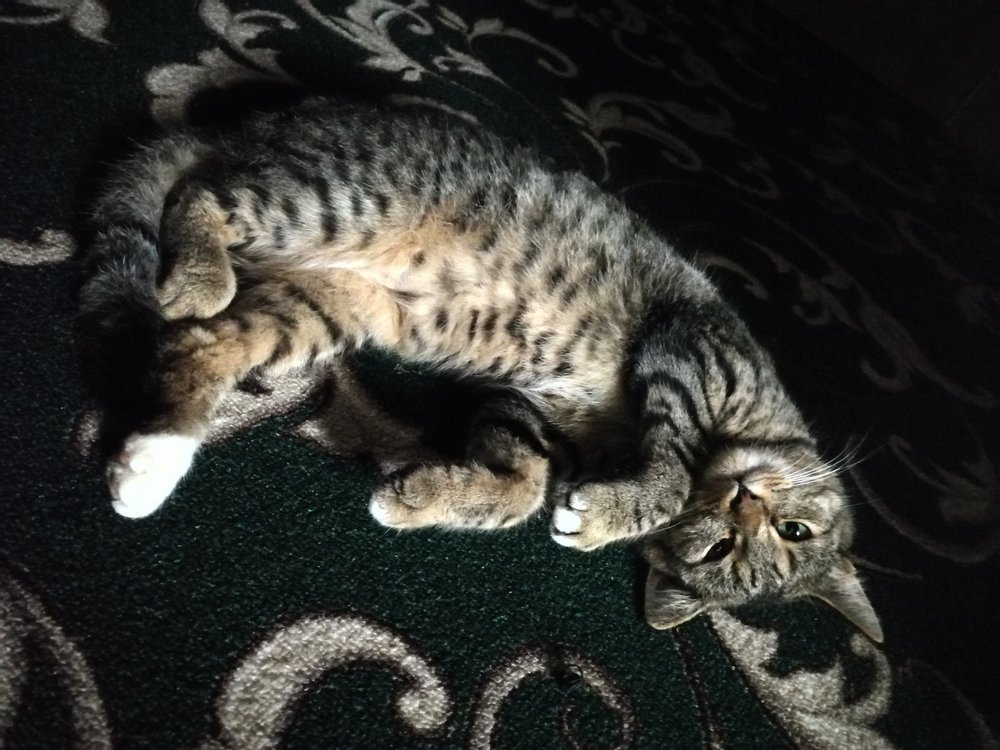 Photograph by Наталья