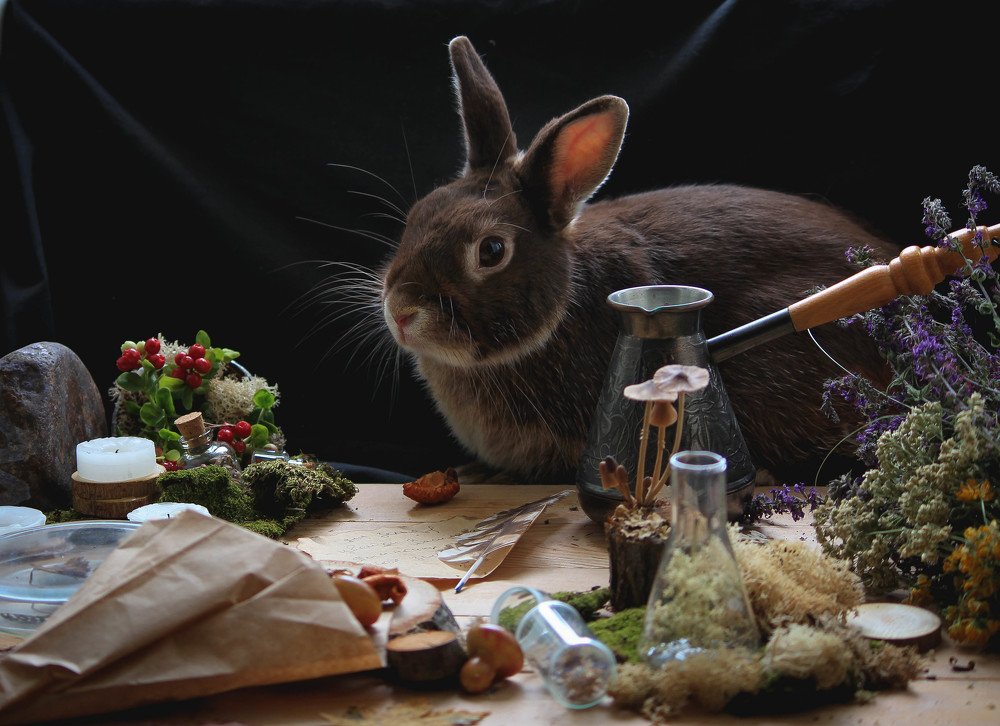 Photograph by Маргарита Федурина