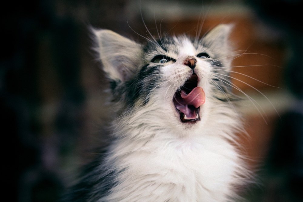 Photograph by Зубков Вадим