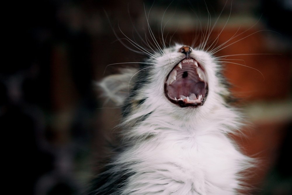 Photograph by Зубков Вадим