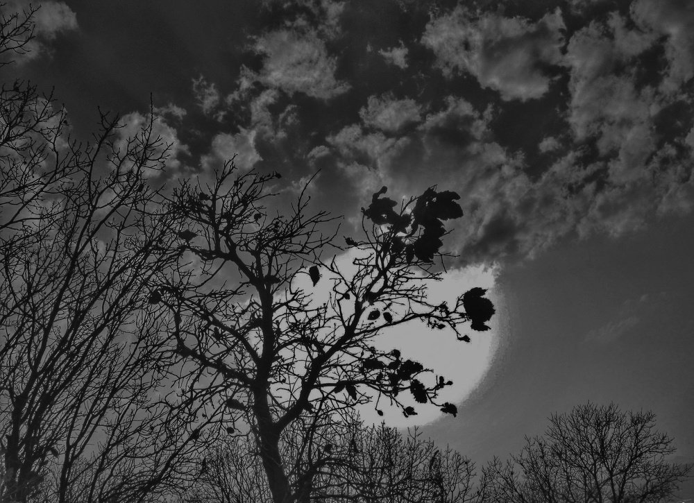 Photograph by Mazhar Khalkhal