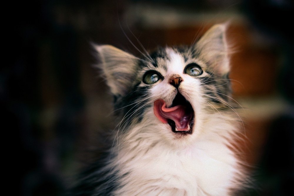 Photograph by Зубков Вадим