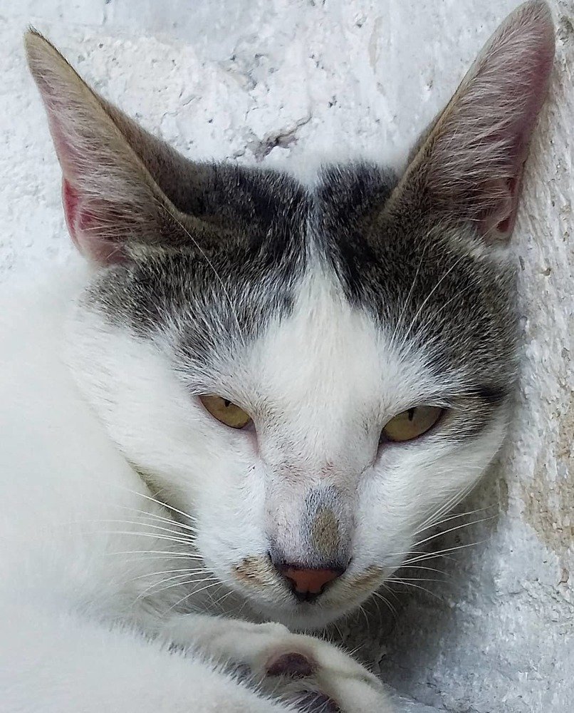 Photograph by seyyed mohammad andy