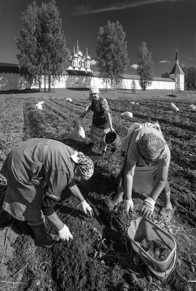 Photograph by Тимофей Шутов