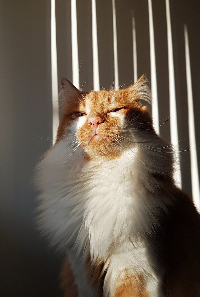 Photograph by Ivailo Sergeev