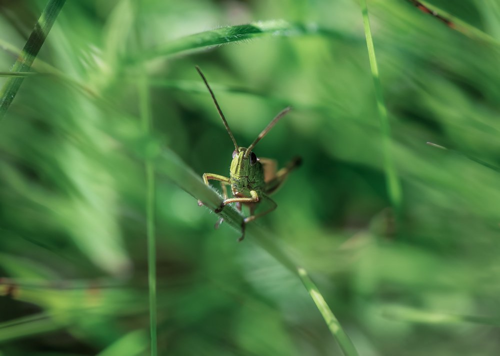 Photograph by Анастасия Третьякова