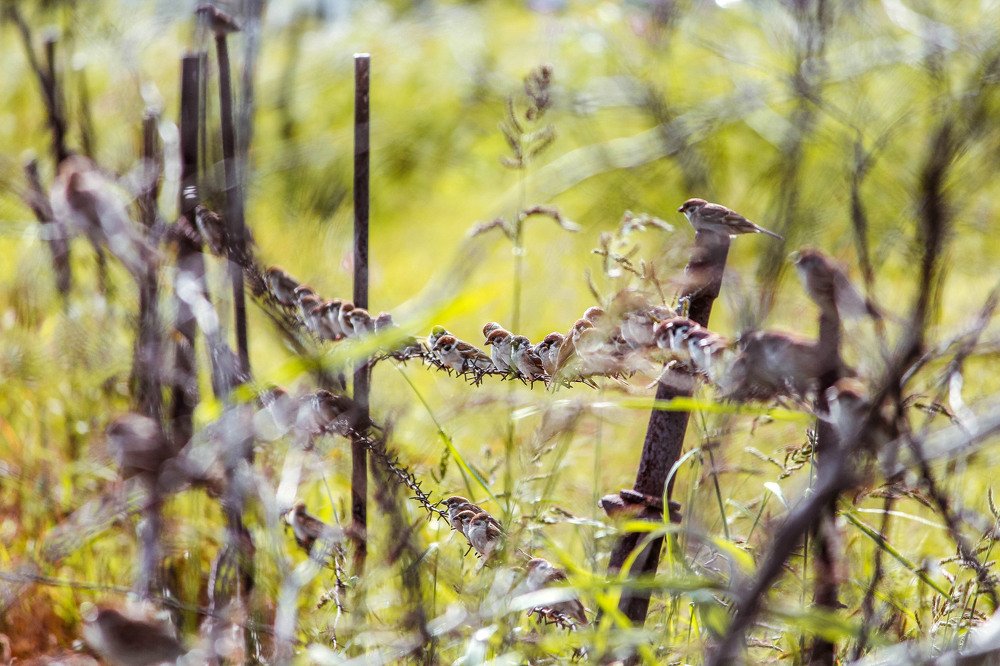 Photograph by Маргарита Федурина