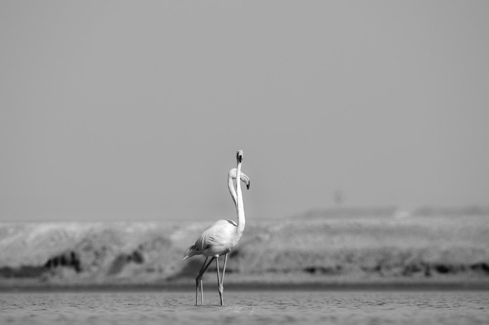 Фотография автора Ishan Vora