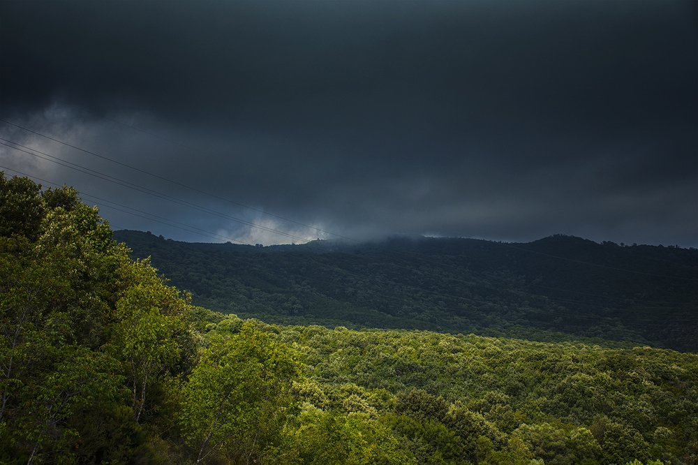 Photograph by Kostas Rammos