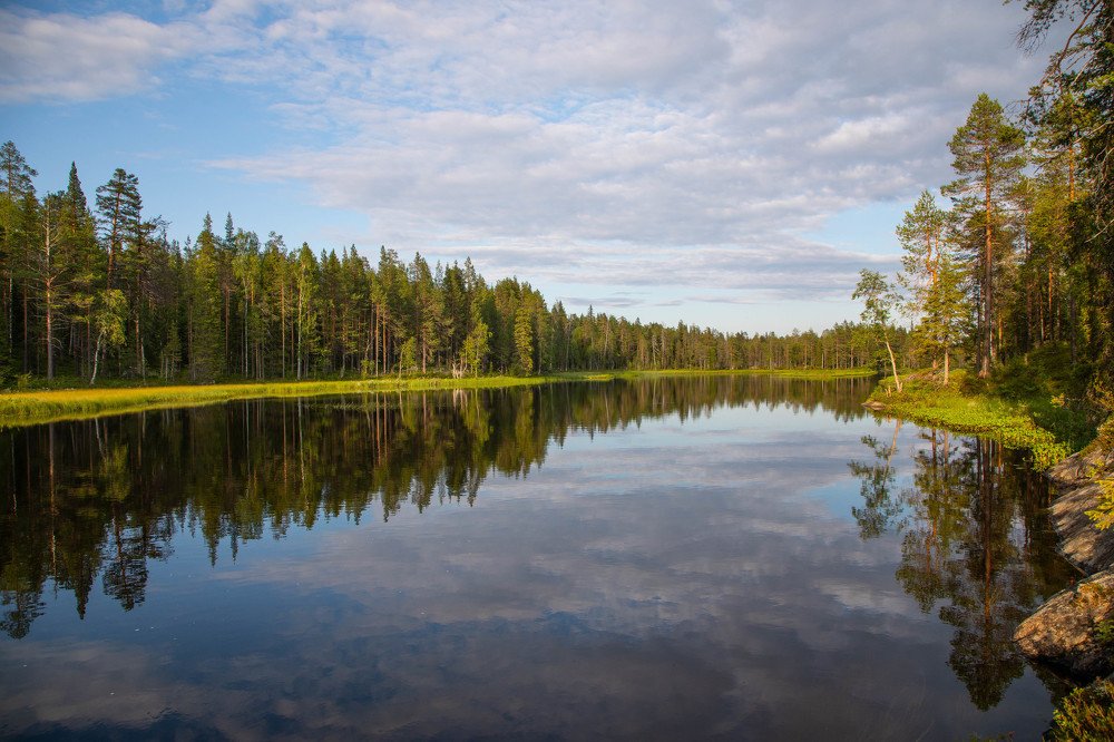 Photograph by Мария Харлашова